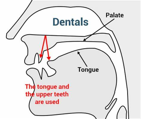 Dentals-yenglishtube
