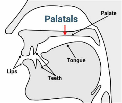 palatals-yenglishtube