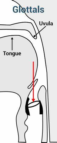  glottals-yenglishtube